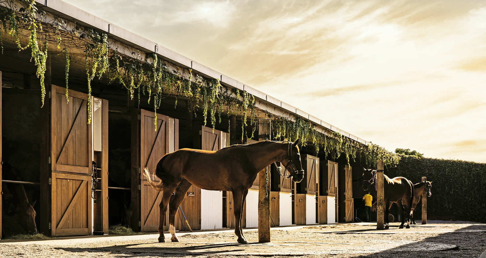 Centro equestre por Isay Weinfeld